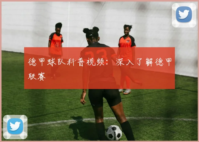德甲球队科普视频：深入了解德甲联赛