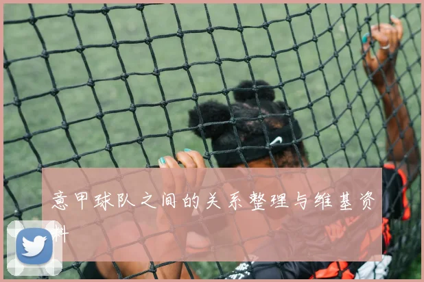 意甲球队之间的关系整理与维基资料