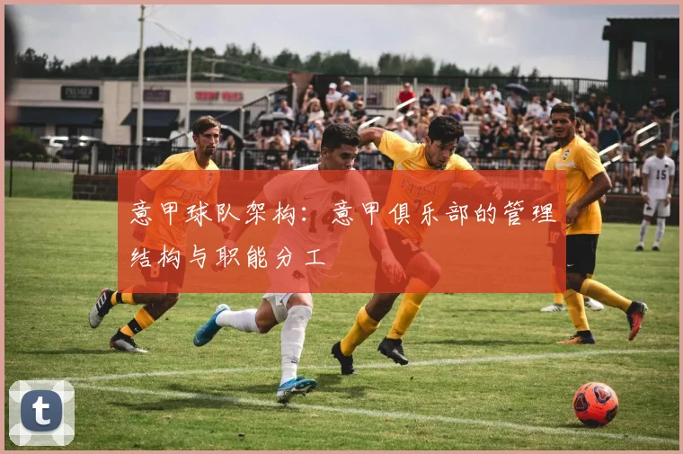意甲球队架构：意甲俱乐部的管理结构与职能分工