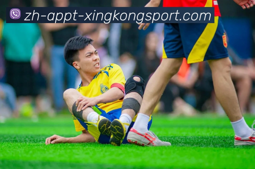 星空体育APP 封面图